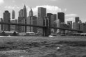 New York (6)